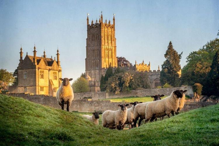 Cotswold Chic Retreats "Jacinabox" Central Chipping Campden-Parking-Garden Eksteriør billede